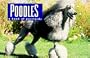 Poodles: A Book of Postcards