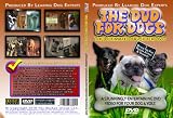 THE DVD FOR DOGS: The Ultimate Dog Sitter DVD