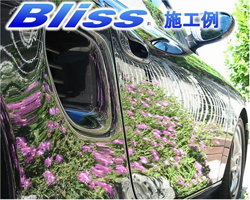 ブリスジャパンカンパニー 高密度ガラス繊維系ポリマー ブリス320mlクロス&スポンジセット B320S ブリスジャパンカンパニー 高密度ガラス繊維系ポリマー ブリス320mlクロス&スポンジセット B320S