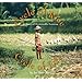 Cycle of Rice, Cycle of Life: A Story of Sustainable Farming