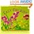 Garden Style: Easy Orchids (Garden Style Book)
