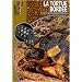 Tortue Bordee (la)