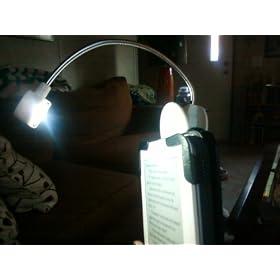 Great Point Light Flex Neck Clip-On Reading Light for Kindle