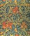 Designs of William Morris (Phaidon Miniature Editions)