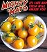 Mighty 'Mato Grafted Super Sweet Sun Sugar Tomato Plant -Easy to Grow/More Fruit