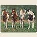 Pint Size Paint Horses Western Horse 11.5 by 15 Large Glass Cutting Board