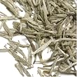 Organic White Silver Needle Tea - Bai Hao Yinzhen