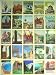 Cavallini Decorative Paper- Italian Postcards