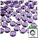 The Crafts Outlet 144pc Flatback Acrylic Rhinestones Round 12mm - Jet Black