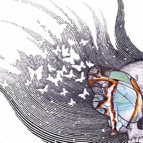 Butterfly Revolutions, Vol. 1