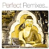 Perfect Remixes, Vol. 4