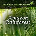 Amazon Rainforest Sounds - Relaxation CD