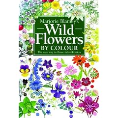 Wild Flowers by Colour: The Easy Way to Flower Identification