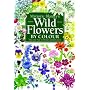 Wild Flowers by Colour: The Easy Way to Flower Identification
