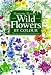 Wild Flowers by Colour: The Easy Way to Flower Identification