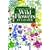 Wild Flowers by Colour: The Easy Way to Flower Identification