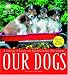 Book Our Dogs: A Century of Images and Words from the AKC Gazette