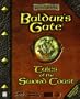 Baldur's Gate Expansion: Tales of the Sword Coast