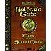 Baldur's Gate Expansion: Tales of the Sword Coast