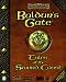  : Baldur's Gate Expansion: Tales of the Sword Coast