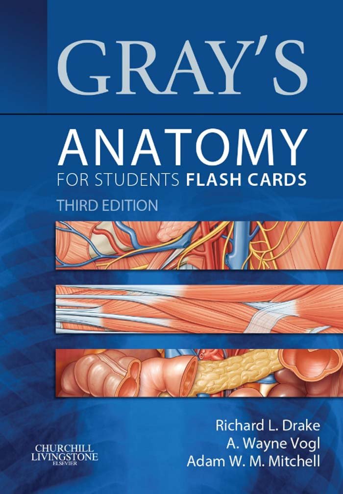 Amazon.com: Gray's Anatomy for Students Flash Cards: with STUDENT ...