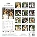Collie Calendar - Breed Specific Collie Calendar - 2015 Wall calendars - Dog Calendars - Monthly Wall Calendar by Avonside