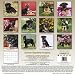 German Shepherd Puppies 2011 Wall Calendar #10205-11