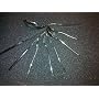 WMF Boston Set 44 posate in acciaio INOX 18/10 di WMF