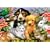 Falcon Deluxe Puzzle - Loveable Pets (500 pieces)