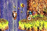Donkey Kong Country 3