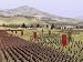 Rome: Total War