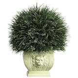 Potted Grass w/ White Vase - Indoor / Outdoor