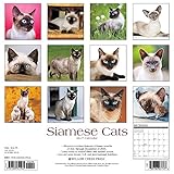 Siamese Cats 2017 Wall Calendar Siamese Cats 2017 Wall Calendar
