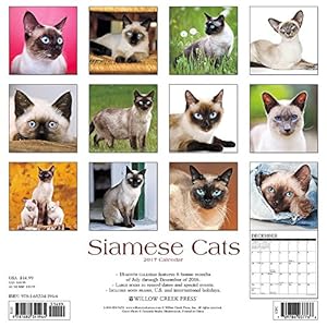 Siamese Cats 2017 Wall Calendar