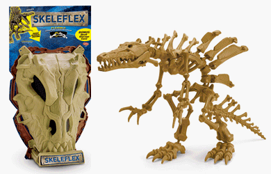 SKELEFLEX Dinosaur Skull Assortment