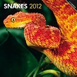Snakes 2012 Square 12X12 Wall Calendar