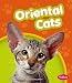 oriental_shorthair2oriental shorthair - Oriental Cats Pebble Books