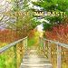 Release The Past! - Guided Spoken Meditation With Helpful Thoughts To Help You Let Go Of Negativity, Guilt & Stress Release The Past! - Guided Spoken Meditation With Helpful Thoughts To Help You Let Go Of Negativity, Guilt & Stress