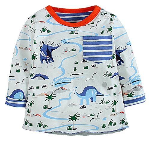 Fiream Boys Crewneck Cartoon Long Sleeve T-shirt(50541TZ,3T)