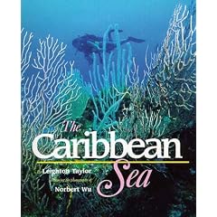 The Caribbean Sea (Life in the sea)
