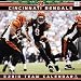 bengal21 - Cincinnati Bengals 2010 Wall Calendar
