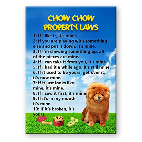 Chow Chow Property Laws Fridge Magnet Funny
