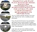Book Massive Cash Flow Pack with Earn More Money, Biz Networking and Accounting & Finance for Animal Flash Cards Internet Businesses 3 CD Power Pack