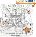 Wildlife of New York: A Five-Borough Coloring Book