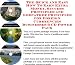 Search : Massive Cash Flow Pack with How To Earn Extra Money, Marketing and Success Principles for Foreign Currrencies On-line Businesses 3 CD Pack