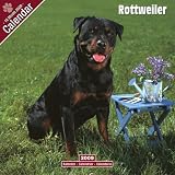 Eigenschaften Avonside Publishing Ltd.  / Kalender 2009 Rottweiler