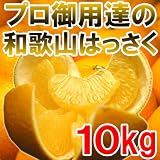【送料無料２９８０円】プロ御用達☆訳あり和歌山八朔（はっさく）１０kg