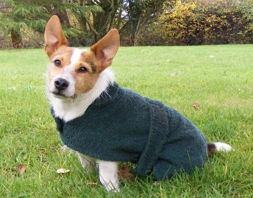 Dogs &amp; Co Manteau-serviette pour chien Vert 30,4 cm