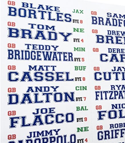 2015 - 2016 Fantasy Football Draft Kit 5ft X 3ft Color Board with Large Color Labels