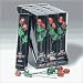 Red Sweetheart Solid Milk Chocolate Roses Gift Set (2 PC)
